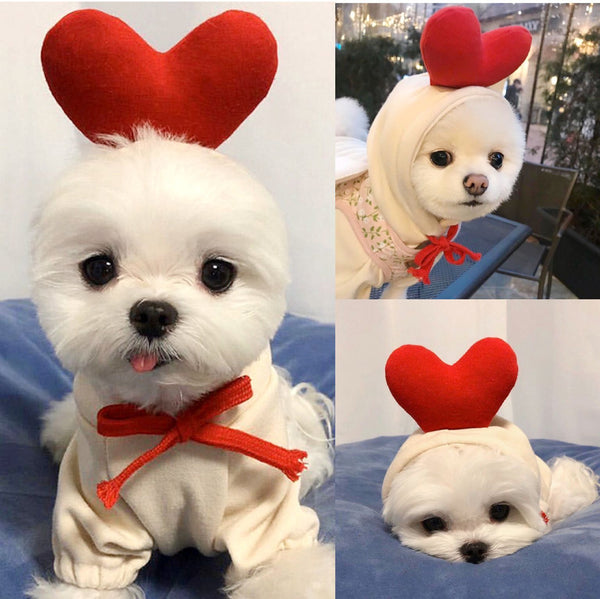 Dog Cute Clothing