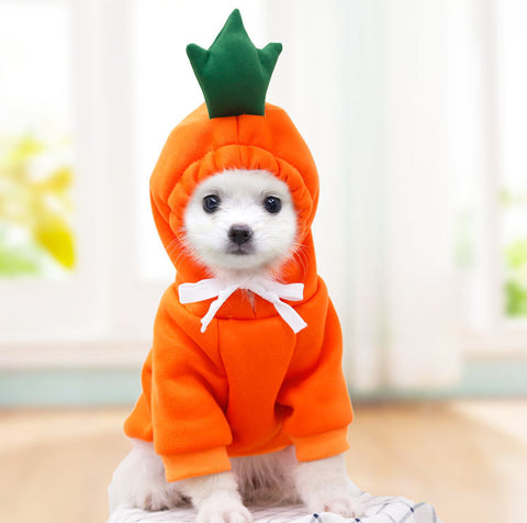 Dog Cute Clothing