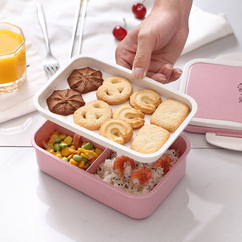 Multi Layer Lunch Box