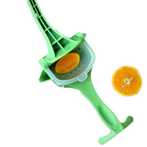 Portable Fruit Juicer