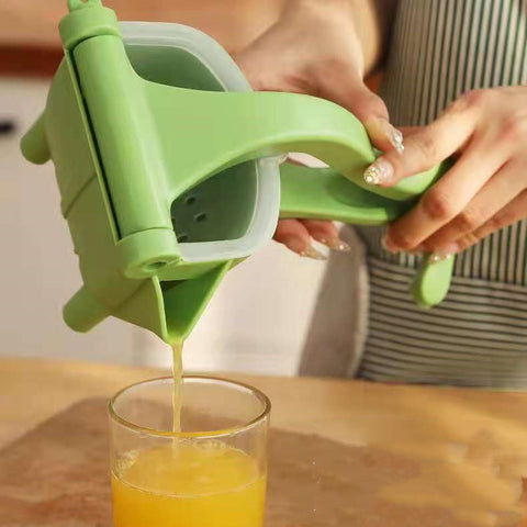 Portable Fruit Juicer