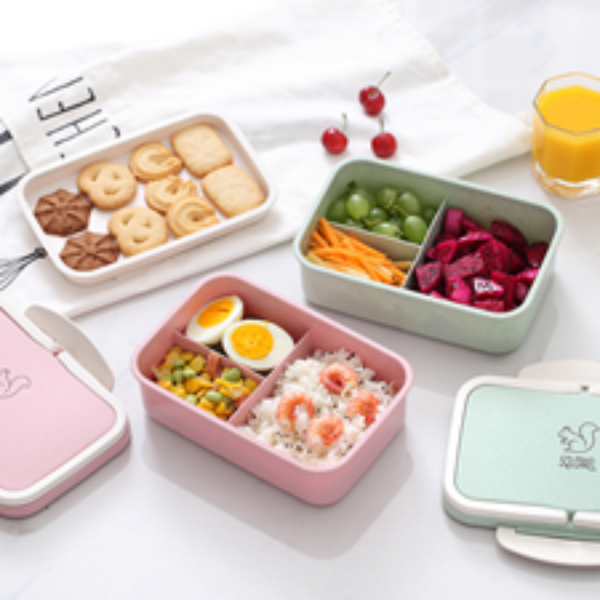 Multi Layer Lunch Box