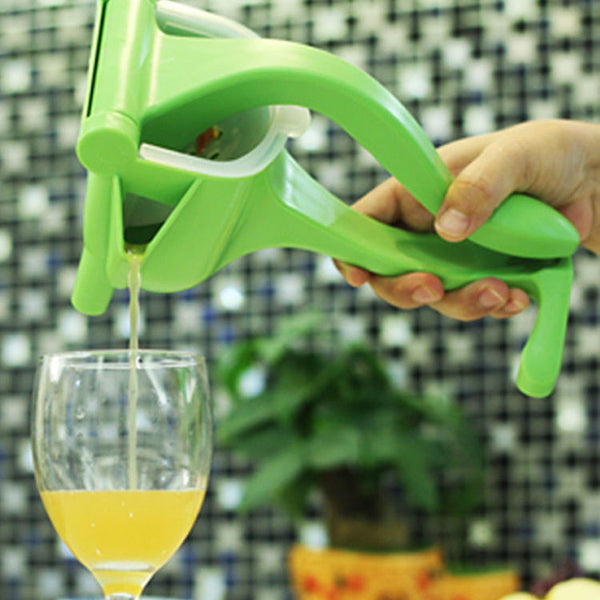 Portable Fruit Juicer